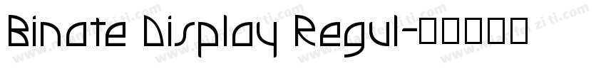 Binate Display Regul字体转换